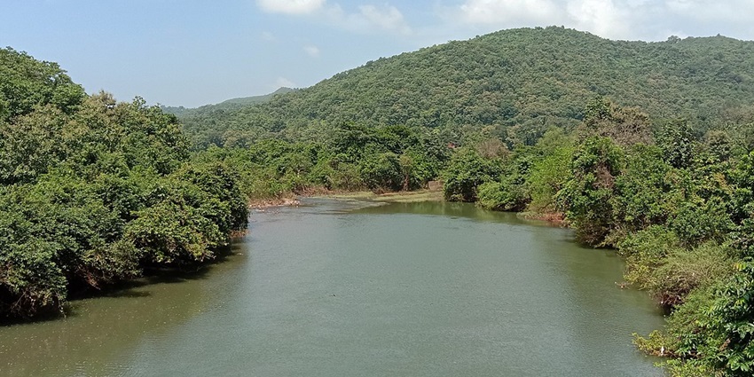 A picture of a scenic river flowing through the lush green valley of Dapoli, Maharashtra