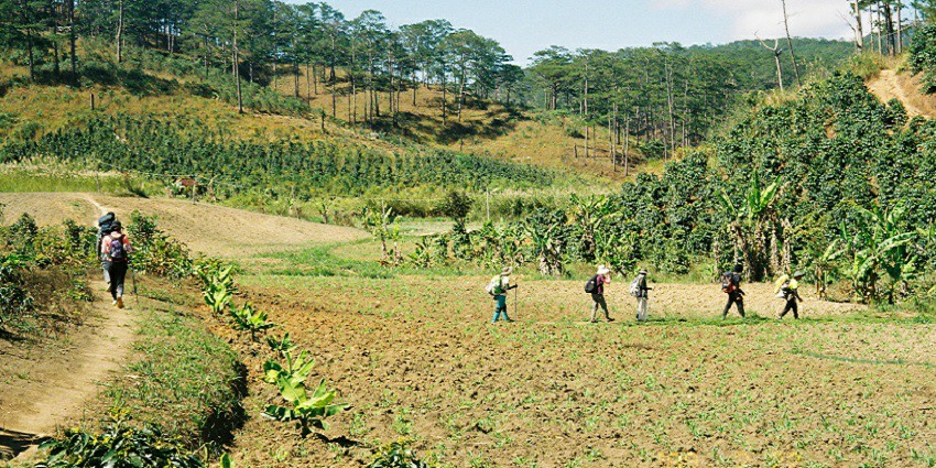 A group of trekkers wandering through the scenic trails