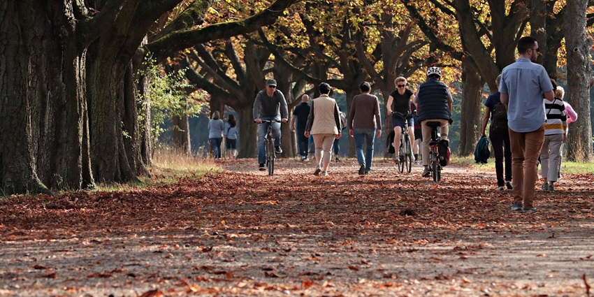 Autumn Park with colourful trees and a walking path, is one of the places near Lohagad fort.