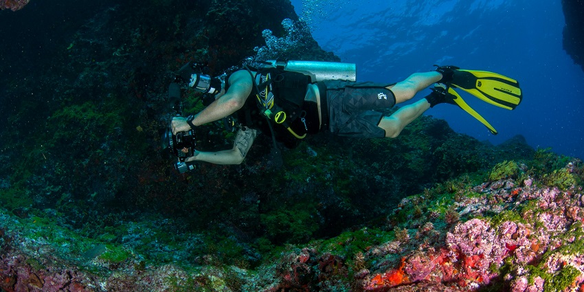 A glimpse of a person exploring the colourful and vibrant marine life of the region.