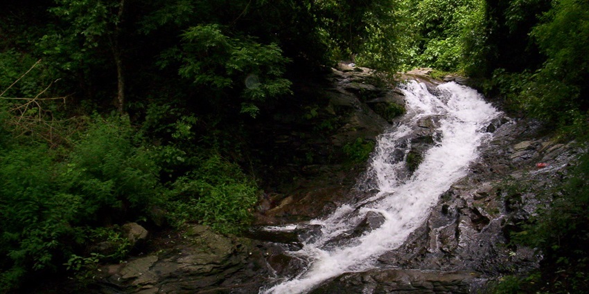 A picture of a waterfall with water cascading down a rocky trail surrounded by lush greenery