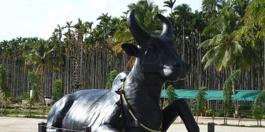 Nandi at Dhyanalinga, a spectacular sight.