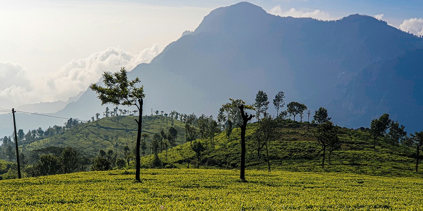 Witness peaceful scenery and tranquil vibes at Lady Canning's Seat in Coonoor, Karnataka.