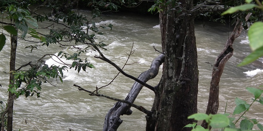 Visiting Nisargadhama Island, is among the best things to do in Coorg with family featuring river, and bamboo groves