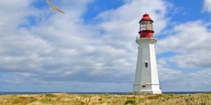 View of the Lighthouse located on a rocky shore, surrounded by lush greenery.