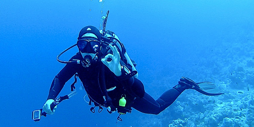 Diving experiences showcasing diverse marine life and underwater exploration.
