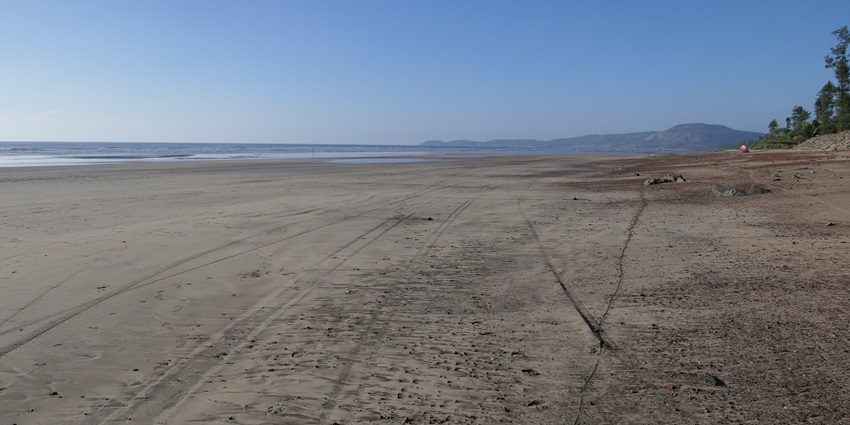 A stunning view of DiveAgar Beach with clear blue skies and green trees along the coastline