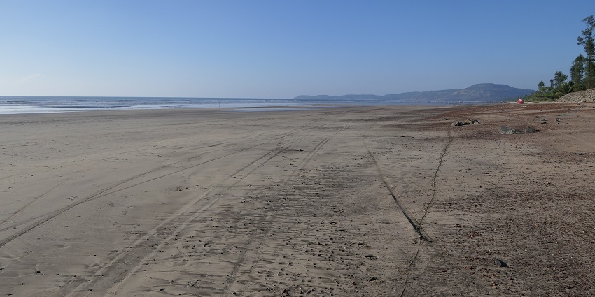 A glimpse of the scenic Diveagar Beach, one of the best places to visit in Konkan.