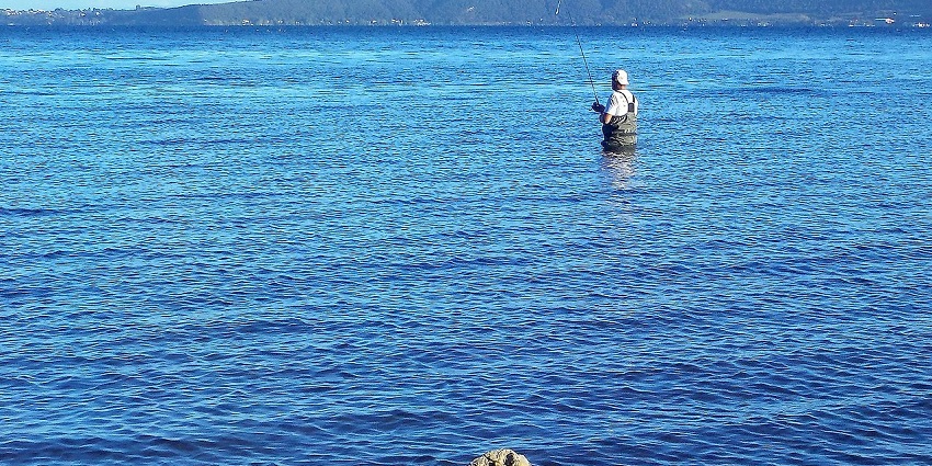 A picture of local fishermen fishing, one of the best things to do in Pichavaram