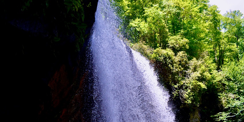 A scenic view of the cascading Dodhani Waterfalls surrounded by lush green vegetation.