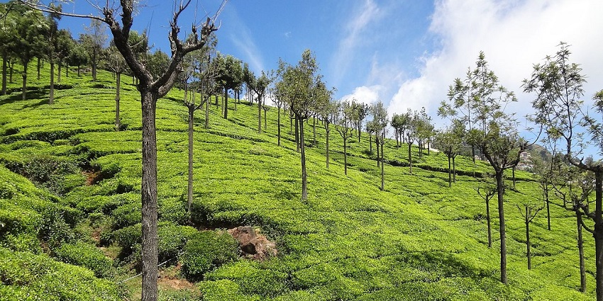 Places to visit near Ooty Tamil Nadu offer breathtaking vistas of the valley.