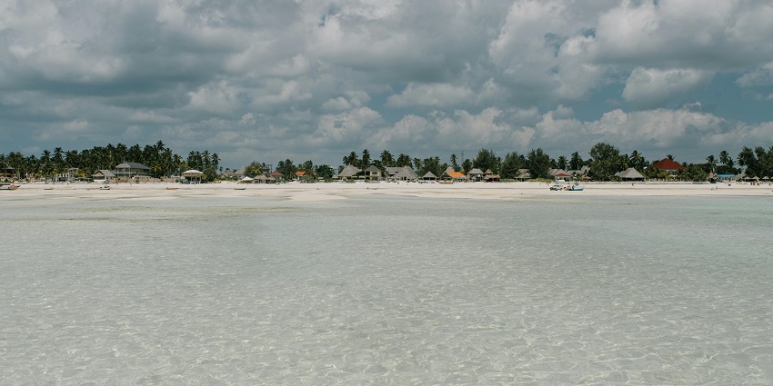 Dreamland Aqua Resort is one of the best Ambernath water parks surrounded by palm trees.