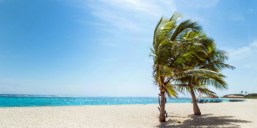 Image of the calm environment as turquoise waters wash the sandy shore on Dreamland Beach