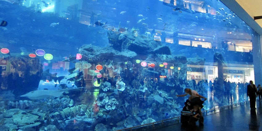 Dubai Aquarium & Underwater Zoo is a stunning aquarium with diverse marine life and interactive exhibits.