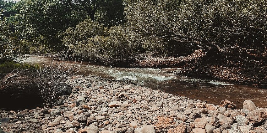 Explore the stunning Dudhsagar Falls on your trip to the majestic Surla Waterfalls.