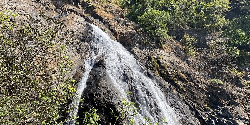 Dudhsagar Falls walk amidst Goa Picnic Places.
