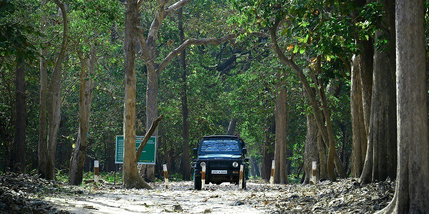 Visit Dudhwa National Park for a jungle safari near Delhi for every traveller.