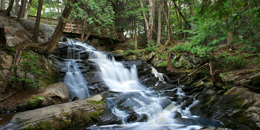 Image of a waterfall with picturesque forest greenery view -water cascading through the forest