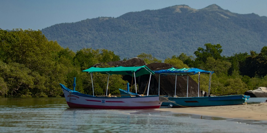 A glimpse of the scenic Durshet which is one of the places near Mumbai for weekend.