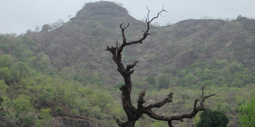 A picture of Durshet which is surrounded by dense forests and winding rivers