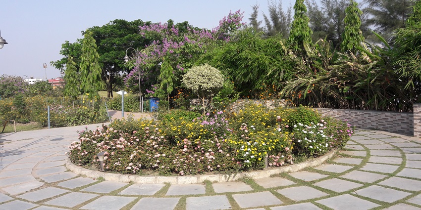 Elvis Butterfly Garden: vibrant haven with 132 butterfly species, Thane.