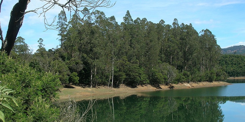 Emerald Lake in Ooty, showcasing clear blue water surrounded by dense green hills
