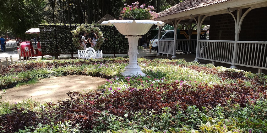 A picture of Empress Botanical Garden, which has a popular green space, making it one of the best places to visit near Hadapsar.