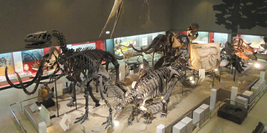 Enjoy hands-on interactive displays for an educational learning experience at the museum.