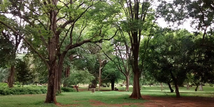 Lalbagh Botanical Garden, sprawling garden - one of the things to do in Bangalore with family.