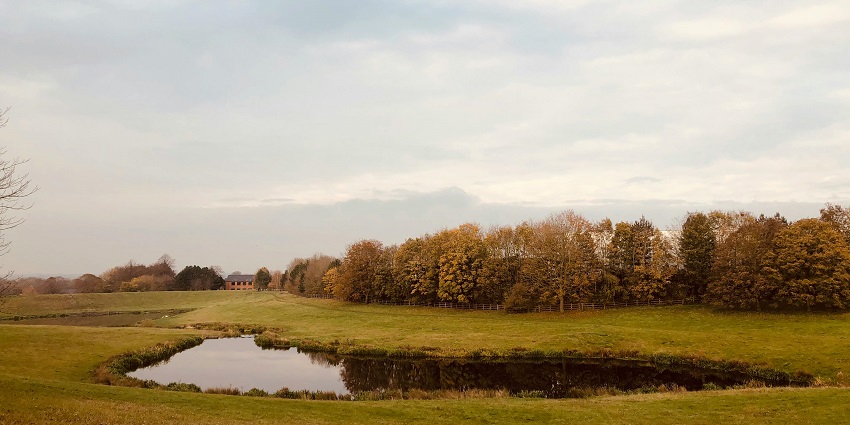 A tranquil lake in a green field under a blue sky, near Ramdara Temple's beauty.