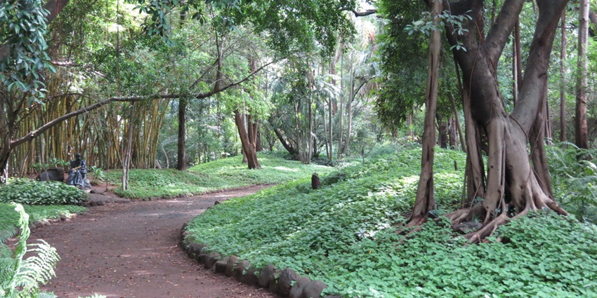 Tranquil park at Osho International Meditation Resort, a key thing to see in Pune.
