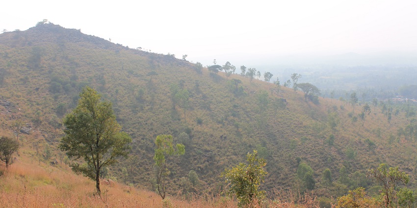 The view from Karighatta Hills, trekking here is the best thing to do in Srirangapatna