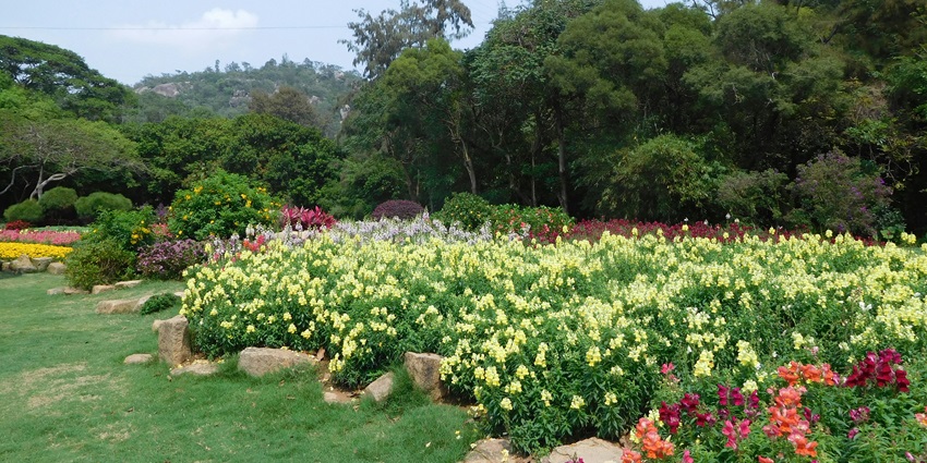Exploring the scenic Brindavan Gardens is one of the best things to do in Srirangapatna.