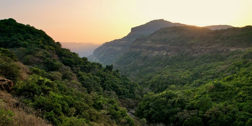 Sunset over mountains and trees, casting warm hues across the tranquil landscape.