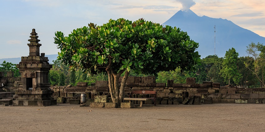 An image of the tranquil green surroundings of Prambanan Temple, perfect for relaxation.