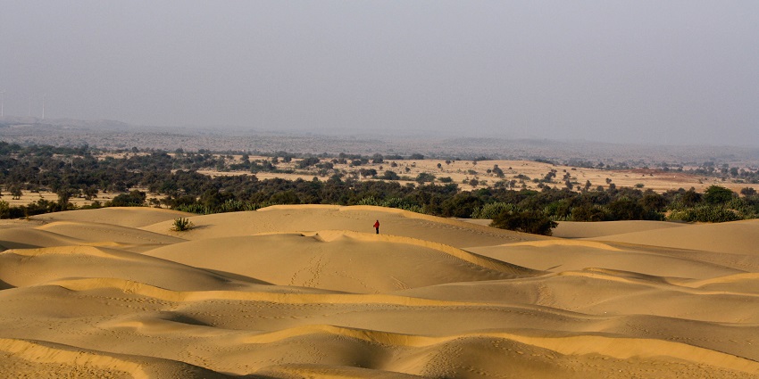 Vast Thar desert with golden dunes extending into the horizon and visible trees