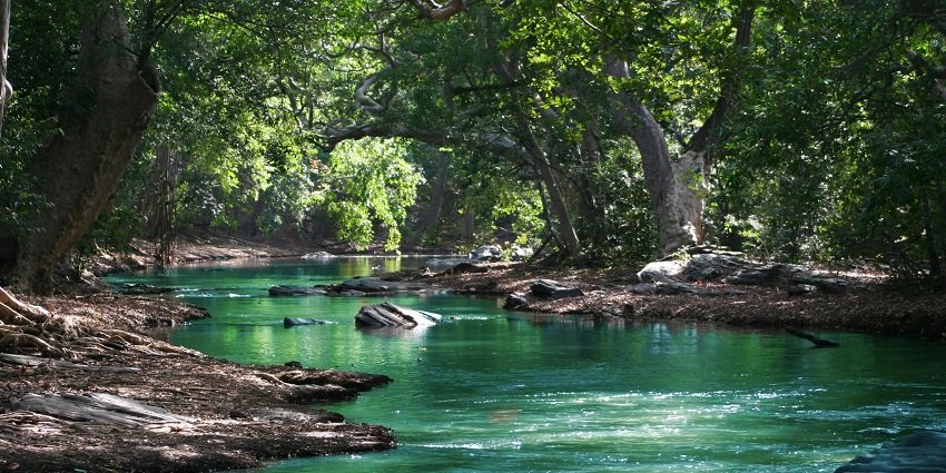 View similar to the view seen at Barachukki, a nice thing to see in Shivanasamudra Falls.
