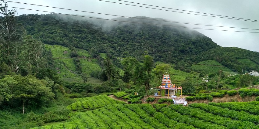 A picture captured from the Maharajamettu View Point overlooking the lush green hills.