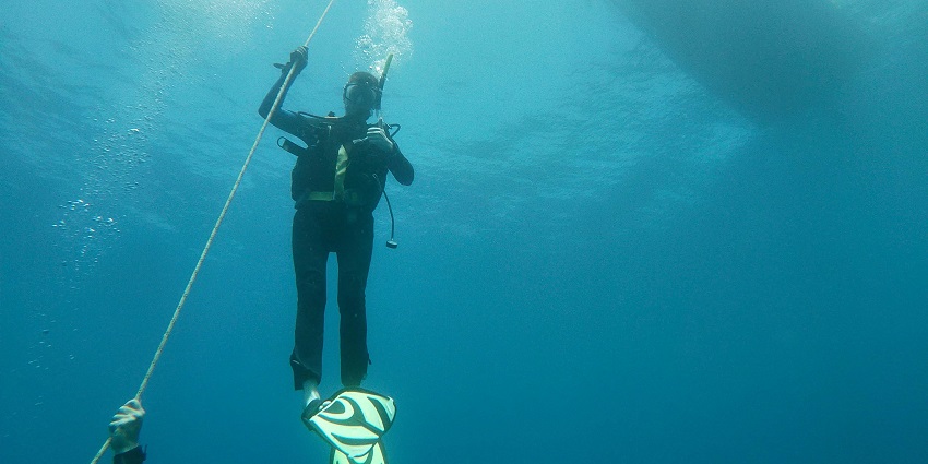 An image of a diver exploring the underwater beauty of Pondicherry, surrounded by marine life