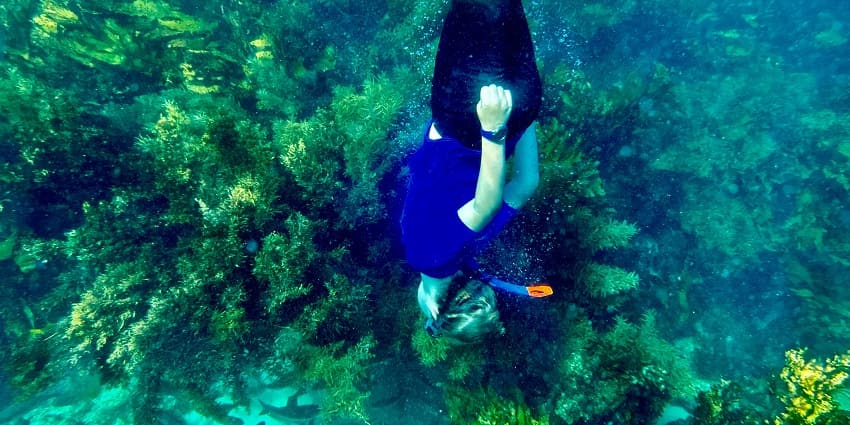 Tourists snorkelling and observe marine life, one of the best things to see in Tarkarli.