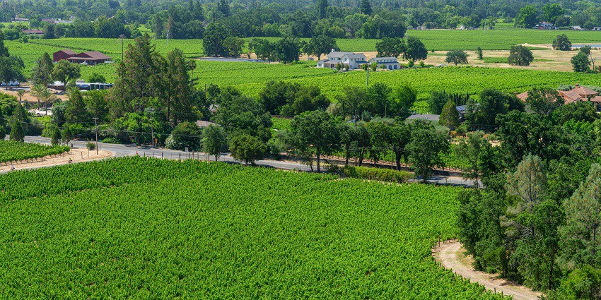 A breathtaking vista of sprawling lush green valleys and swaying tall trees in the region.