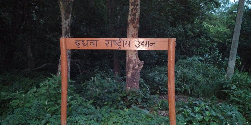 View of Dhudhwa National Park showcasing vibrant greenery and various wildlife species.