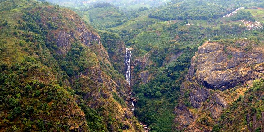 A picture of Catherine Falls surrounded by greenery, showcasing things to see in Coonoor