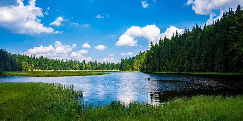 View of a calm Lake, surrounded by green trees and hills, reflecting the blue sky