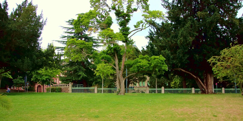 A view of the Deva Deva Vana is an eco-park for conservation and nature exploration.