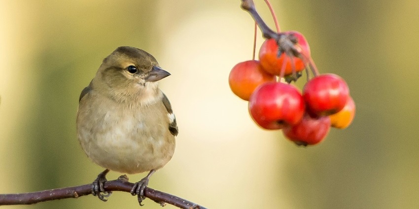Exploring the famous Dr. Salim Ali Centre is one of the top things to do in Anaikatti.