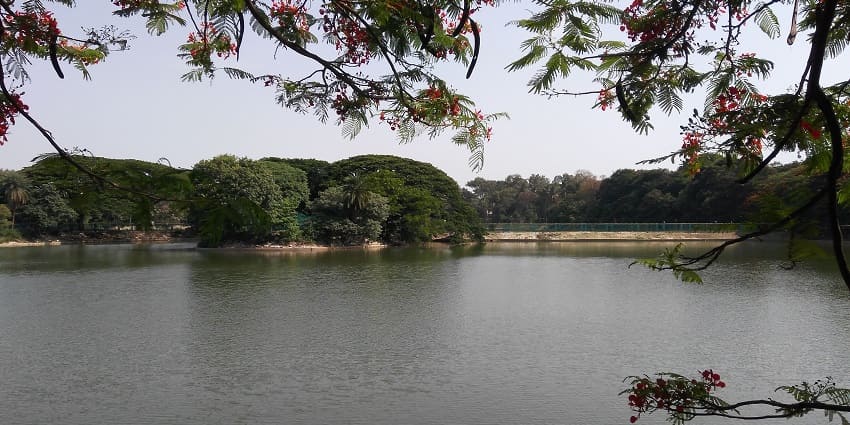 Scenic view of Lalbagh Botanical Garden lake surrounded by lush greenery and vibrant flowers