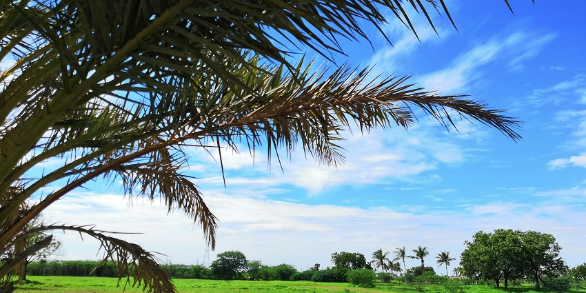 A picture of Ottapidaram, exploring it is one of the things to do in Thoothukudi.