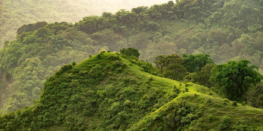 Picturesque green hills and clear blue sky, very similar to the Shinde Wadi Hills