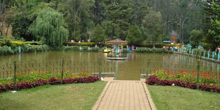 A picture of Sim's Park in Coonoor, highlighting beautiful plants and things to see